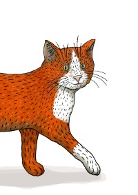 Zampino läuft in das Browserfenster