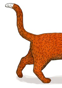 Zampino läuft aus dem Browserfenster